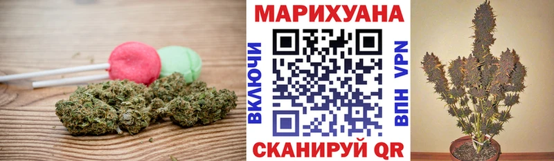 где купить Городец Cannafood конопля
