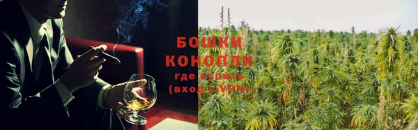 крисы Богородицк