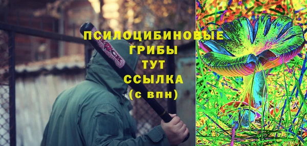 МДПВ Бугульма