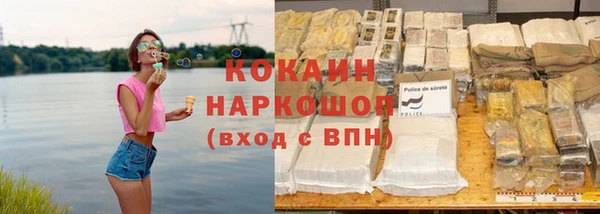 крисы Богородицк
