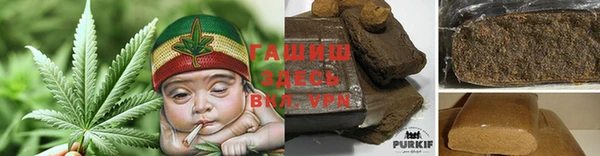 крисы Богородицк
