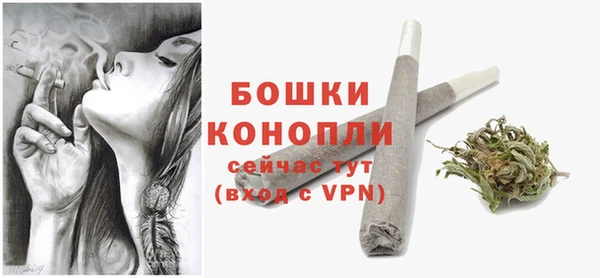 крисы Богородицк