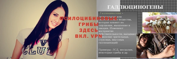 крисы Богородицк