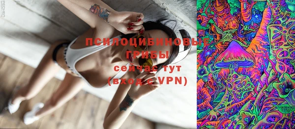спайс Богданович