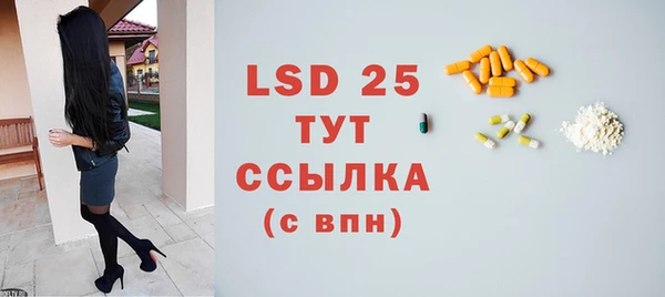 спайс Богданович