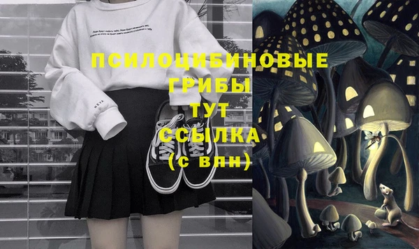 спайс Богданович