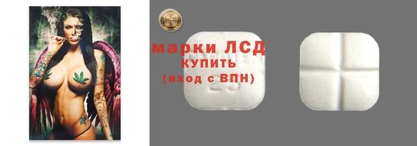 спайс Богданович
