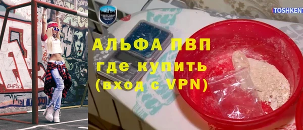 крисы Богородицк