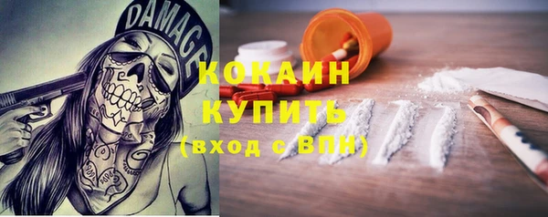 крисы Богородицк