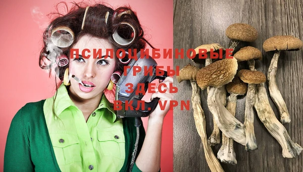 амф Бронницы