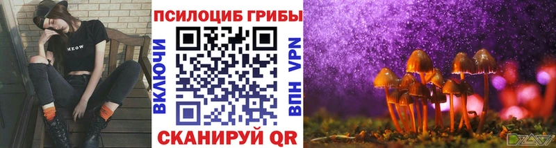 Псилоцибиновые грибы Cubensis  Городец 